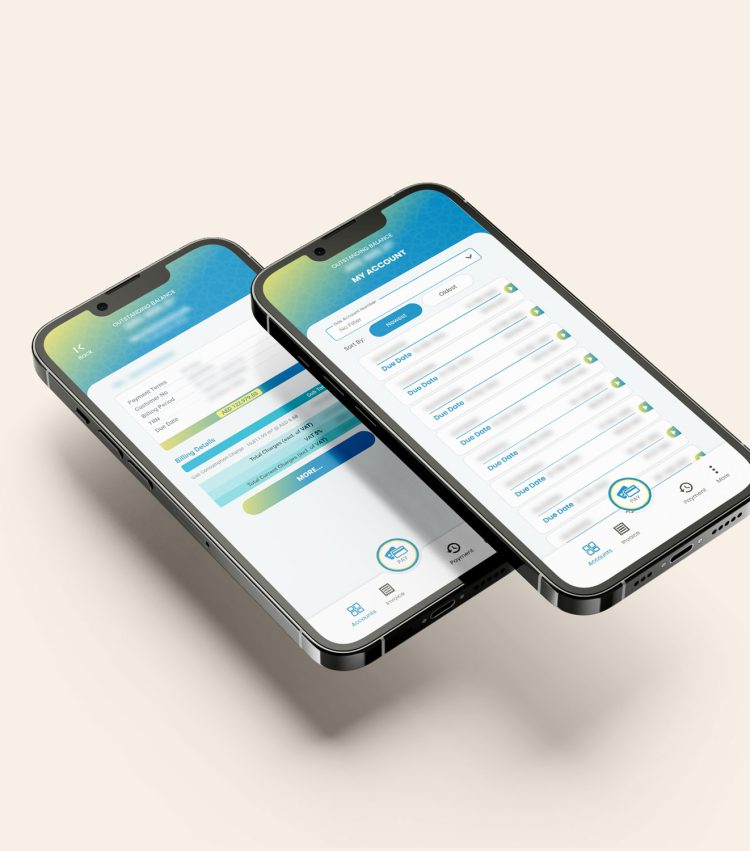 Payment Portal Application Payment