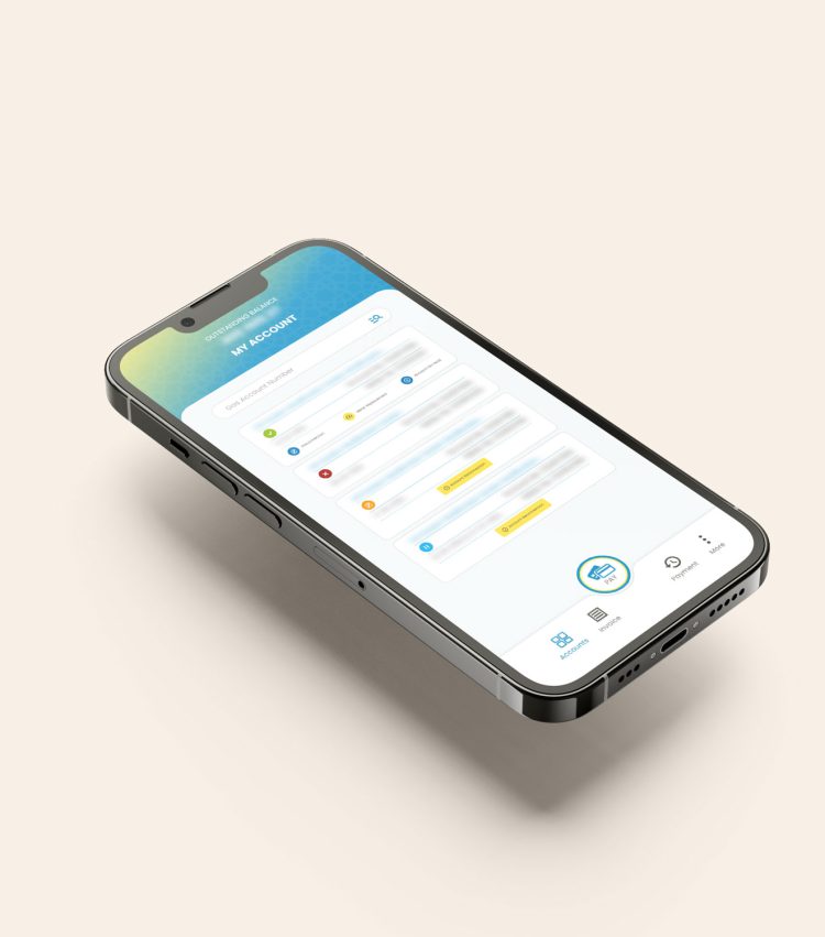 Payment Portal Application List